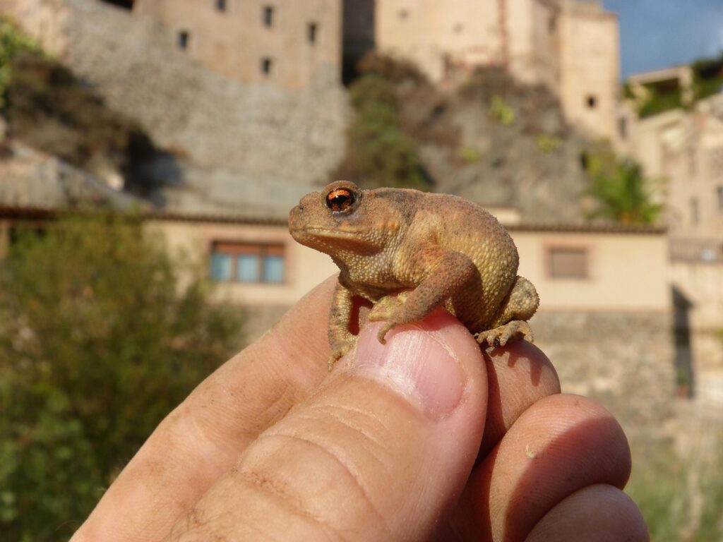 寝不足が原因の肌荒れを改善する男性向け対策は？