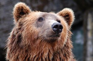 目の下のクマを男が消すための効果的な方法は？