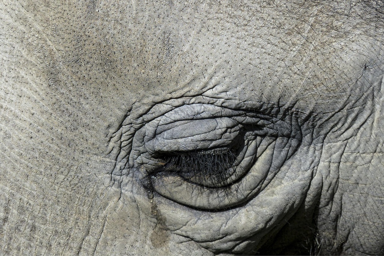 メンズの毛穴黒ずみを効果的に解消する方法は？