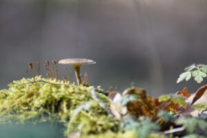 毛穴の角栓を男性が効果的に取り除く方法は？