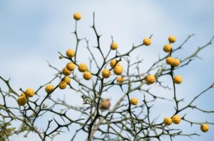 メンズの乾燥肌対策に効果的な方法は？