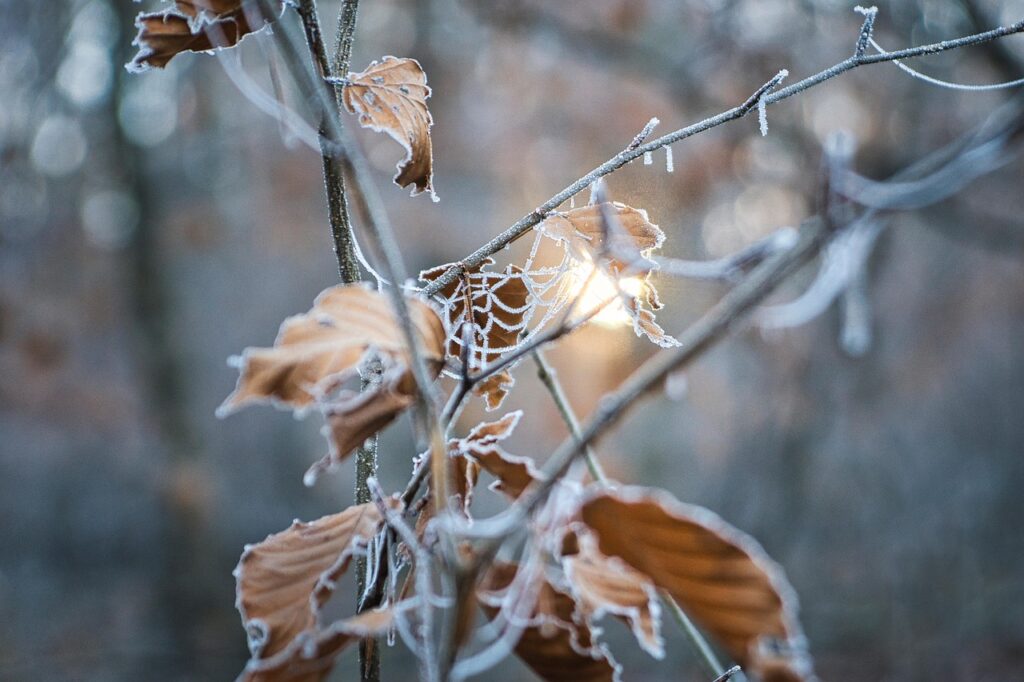 冬の肌乾燥対策におすすめのメンズケアは？