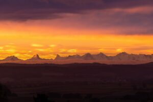 日焼けした皮を早く治す顔のケア方法は？