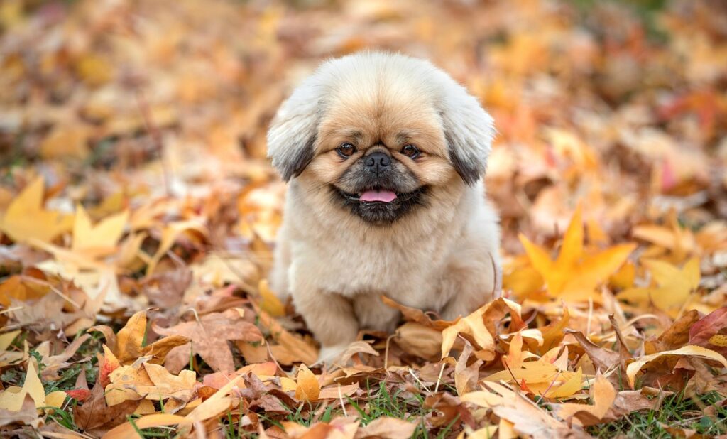 日焼けの皮を剥くときの注意点とは？