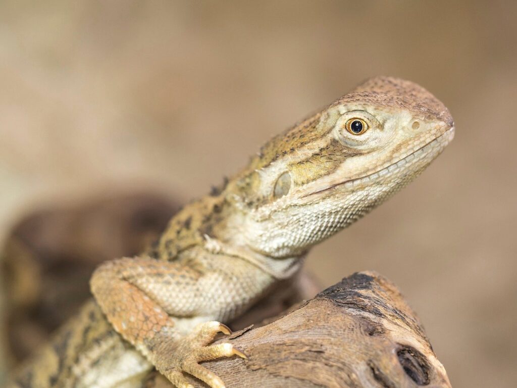 髭が不潔と感じる理由とその対策は？