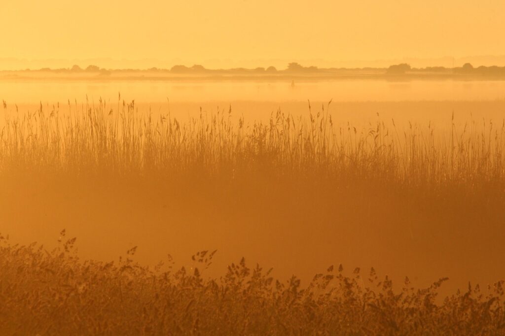 朝の洗顔は必要？メンズの肌ケアのポイントとは。