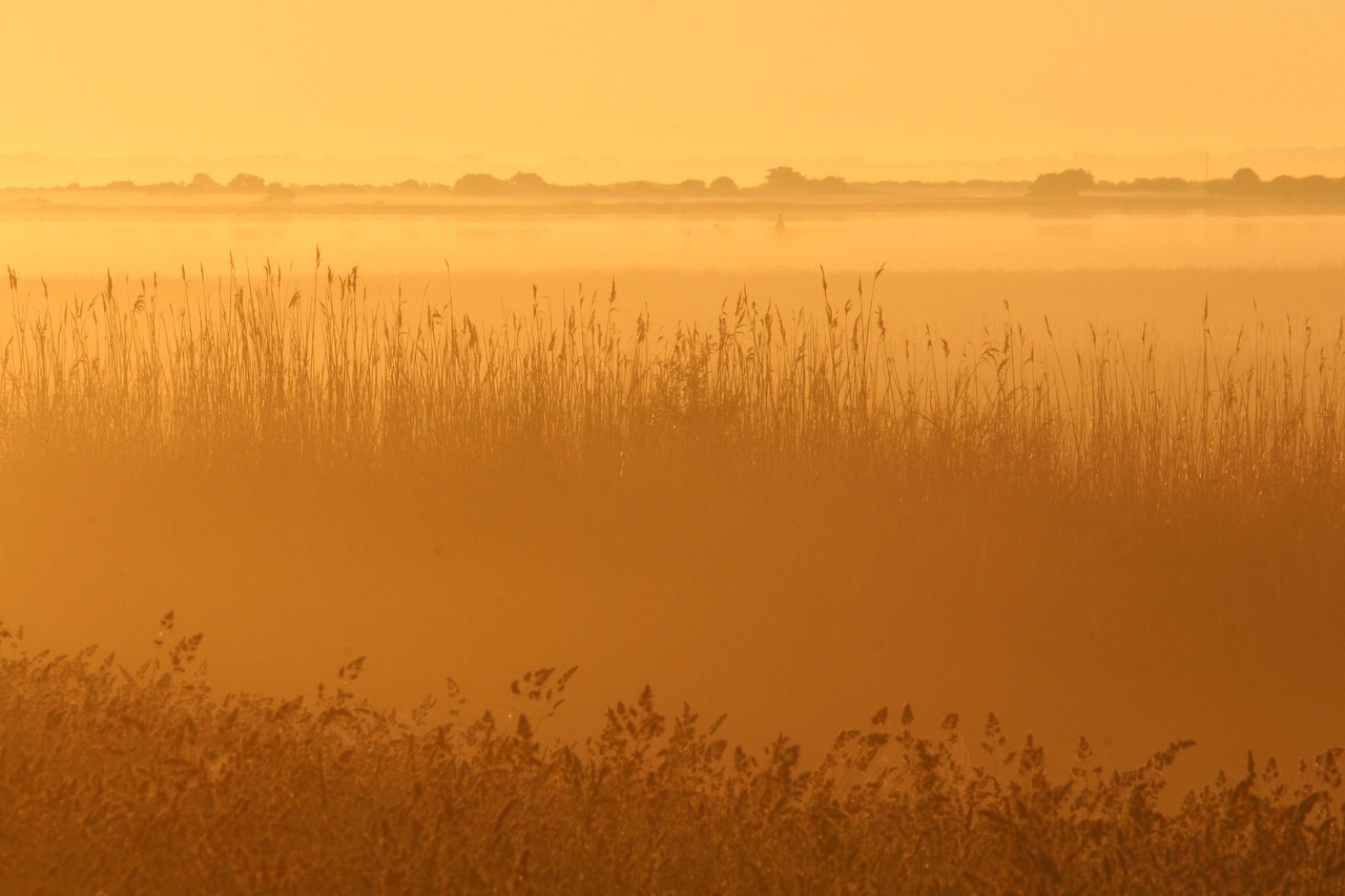 朝の洗顔は必要？メンズの肌ケアのポイントとは。