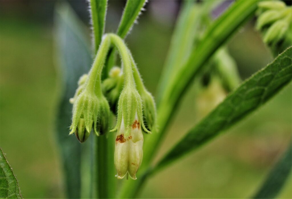 鼻のニキビを男性が解消するための対策は？