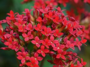 メンズ美容液を使う意味とは何ですか？