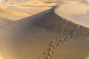 乾燥肌に悩む男性のためのスキンケア方法は？