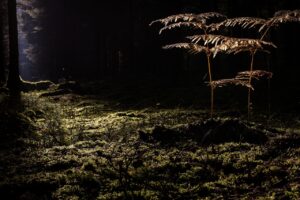 毛穴引き締めに効果的なメンズ化粧水はどれ？