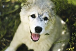 敏感肌の人が脱毛後に剃毛すると痒くなるのはなぜ？