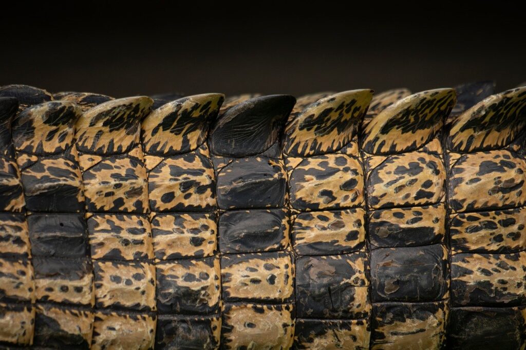 肌のオイリーさによる黒ずみを改善できる方法は？