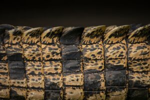 肌のオイリーさによる黒ずみを改善できる方法は？