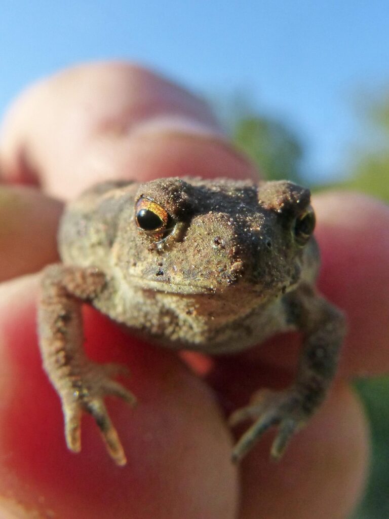 肌荒れが抜け毛に影響あるのは本当ですか？