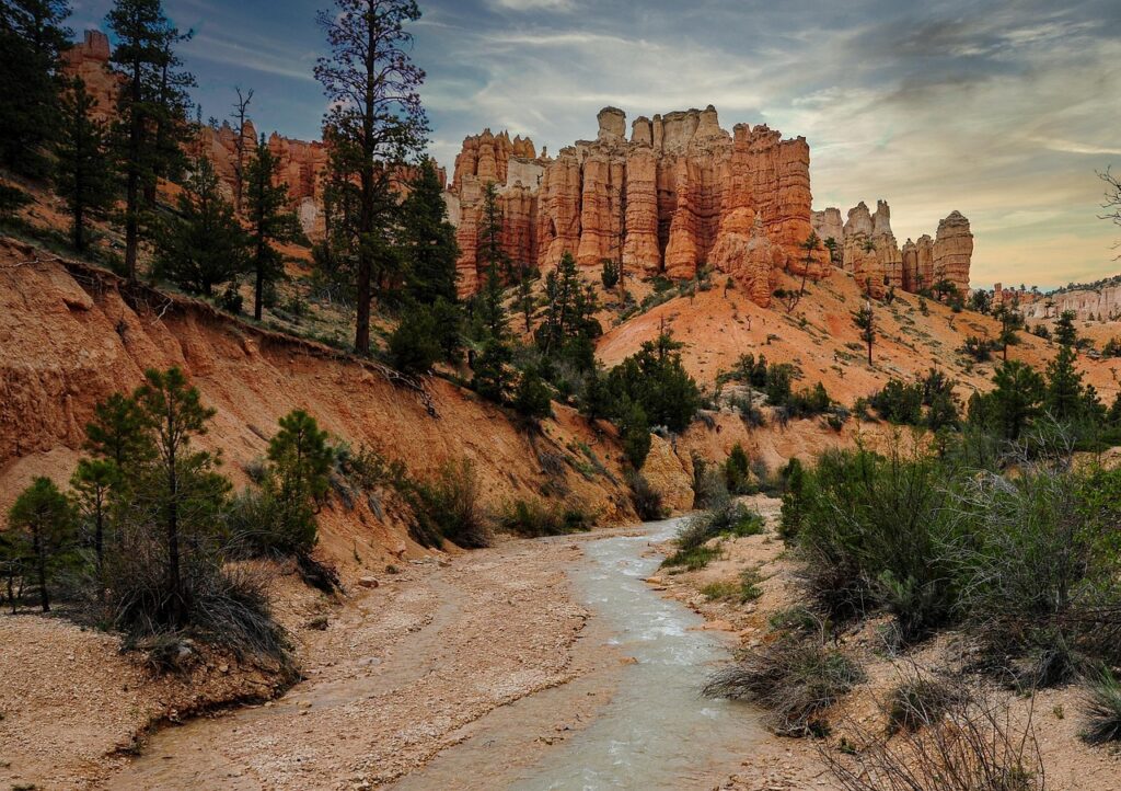 シャワーと入浴、どちらが肌にいいのか徹底比較しますか？