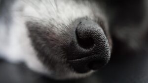 メンズの毛穴ケアはどれがおすすめ？