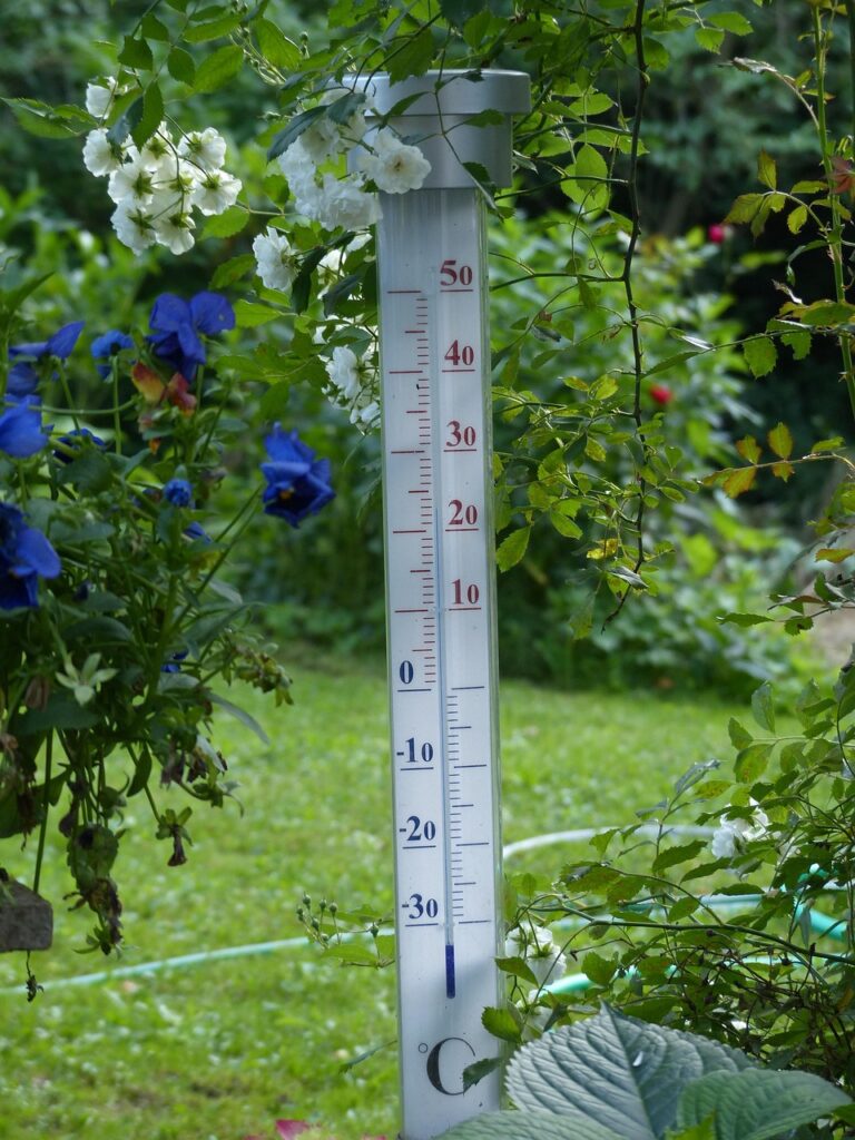 洗顔の際のお湯の温度は何度がいい？