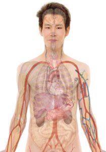 男の混合肌に最適なスキンケアの選び方は？