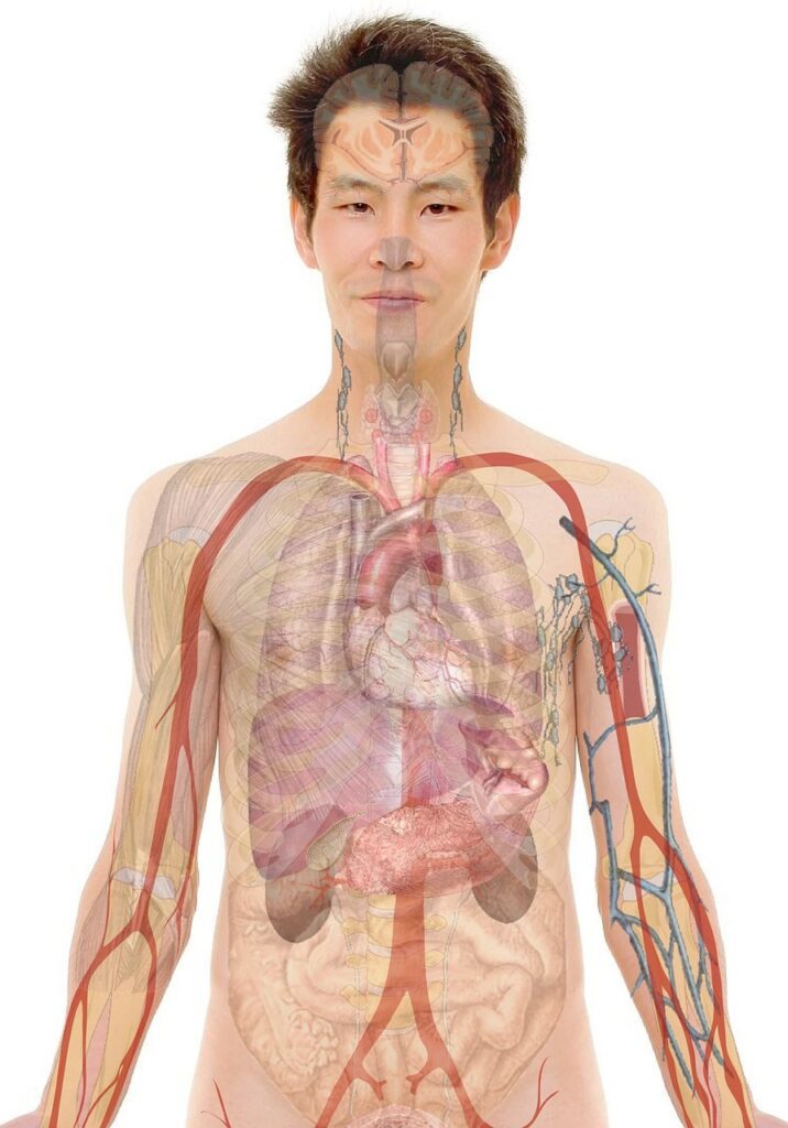 男の混合肌に最適なスキンケアの選び方は？